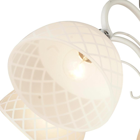 Люстры на штанге — Потолочная люстра Seven Fires Ornago 66409.01.64.05 купить в 