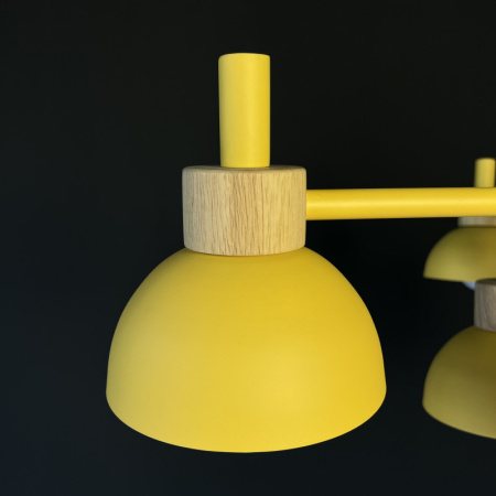 Люстры на штанге — Подвесная люстра Imperium Loft Fanta 101568-26 купить в 