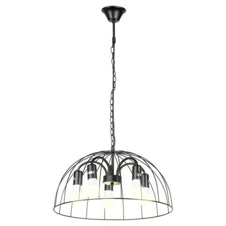 Подвесные светильники — Подвесной светильник Lussole LSP-8216 купить в 