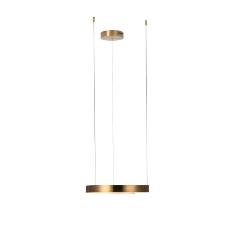 Подвесные светильники — Подвесной светильник LOFT IT 10013S купить в 