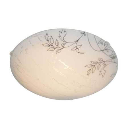 Светильники настенно-потолочные — Настенно-потолочный светильник Apeyron 16-183 купить в 