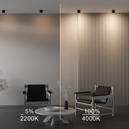 Встраиваемые точечные светильники — Встраиваемый светильник Maytoni Technical DL024-12W-DTW-B купить в 