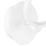 Настенные бра — Бра Lightstar 749614 купить в  Настенные бра — Бра Lightstar 749614 купить в