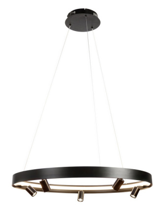 Люстры подвесные — Подвесная люстра MyFar MR2201-1PL купить в 