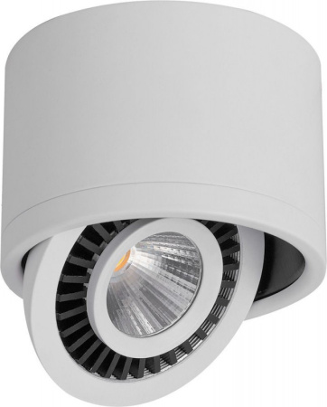 Накладные точечные светильники — Накладной светильник Feron 32701 купить в 