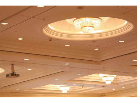 Светильники Downlight — Карданный светильник Kanlux BEN DL-220-W 4822 купить в 