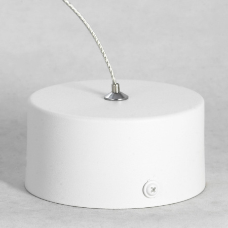 Подвесные светильники — Подвесной светильник Lussole LSP-8349 купить в 