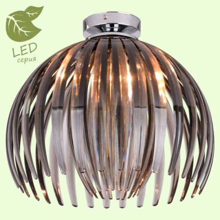 Накладные светильники — Накладной светильник Lussole GRLSP-9539 купить в 