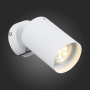Споты — Спот ST-Luce SL597.501.01 купить в  Споты — Спот ST-Luce SL597.501.01 купить в