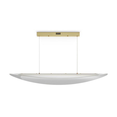 Подвесные светильники — Подвесной светильник Freya FR5441PL-L40G купить в 