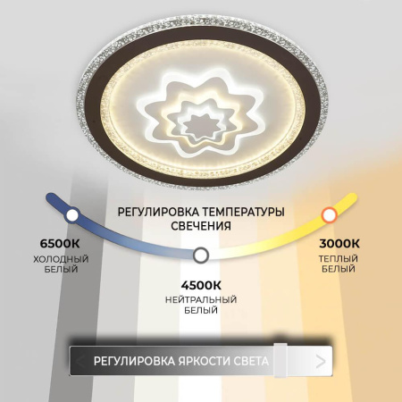 Потолочные светильники — Потолочный светильник Seven Fires Torod 75385.01.09.132 купить в 