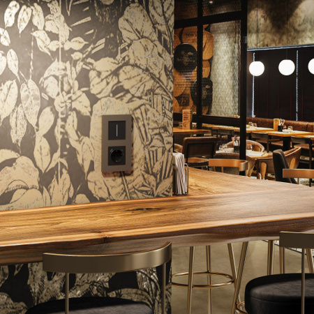 Рамки — Рамка Werkel W0022963 купить в 