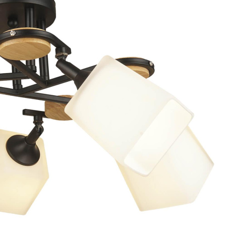 Потолочные люстры — Потолочная люстра Seven Fires Ivetta 66582.01.14.05 купить в  Потолочные люстры — Потолочная люстра Seven Fires Ivetta 66582.01.14.05 купить в