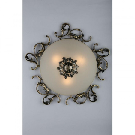 Накладные светильники — Накладной светильник Omnilux OML-76407-03 купить в 