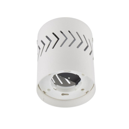 Потолочные светильники — Потолочный светильник Fametto Sotto DLC-S617 GX53 White UL-00009786 купить в 