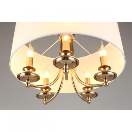 Люстры подвесные — Подвесная люстра APLOYT APL.721.06.05 купить в 