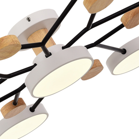 Люстры на штанге — Люстра на штанге Evoluce SLE6006-502-07 купить в 