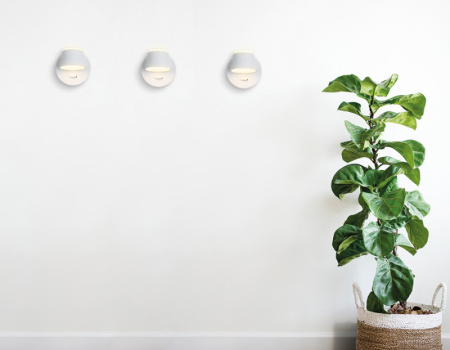 Настенные бра — Бра Ambrella Light FW166 купить в  Настенные бра — Бра Ambrella Light FW166 купить в