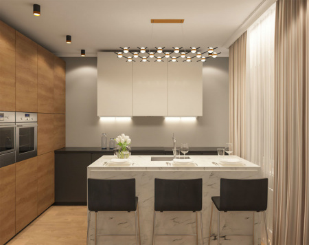 Накладные точечные светильники — Накладной светильник Denkirs DK4017-BG купить в  Накладные точечные светильники — Накладной светильник Denkirs DK4017-BG купить в