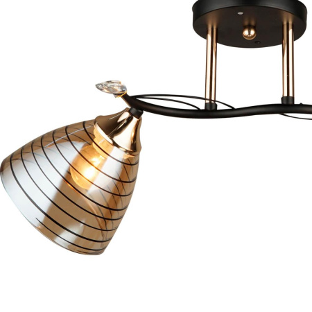 Потолочные люстры — Потолочная люстра Seven Fires Бомпорто 66367.01.69.02 купить в  Потолочные люстры — Потолочная люстра Seven Fires Бомпорто 66367.01.69.02 купить в