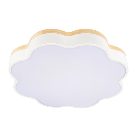 Накладные светильники — Накладной светильник LOFT IT 10225/36 White купить в 