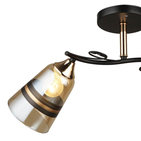 Потолочные люстры — Потолочная люстра Seven Fires Спинея 66372.01.69.02 купить в  Потолочные люстры — Потолочная люстра Seven Fires Спинея 66372.01.69.02 купить в