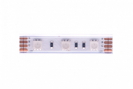 Светодиодные ленты — Лента DesignLed DSG560-12-RGB-65 купить в 