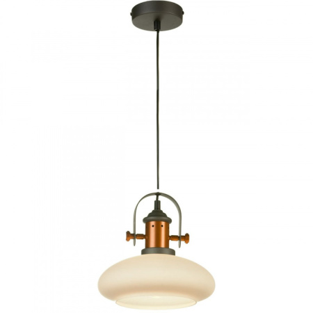 Подвесные светильники — Подвесной светильник ST-Luce SLD982.303.01 купить в 