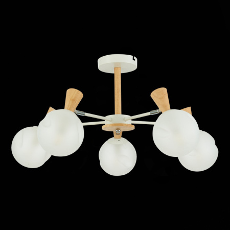 Люстры на штанге — Люстра на штанге Evoluce SLE220702-05 купить в  Люстры на штанге — Люстра на штанге Evoluce SLE220702-05 купить в