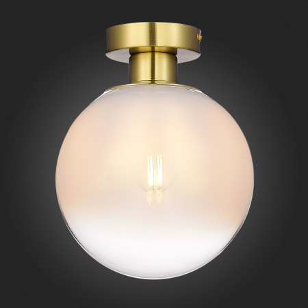 Накладные светильники — Накладной светильник ST-Luce SL1190.202.01 купить в 