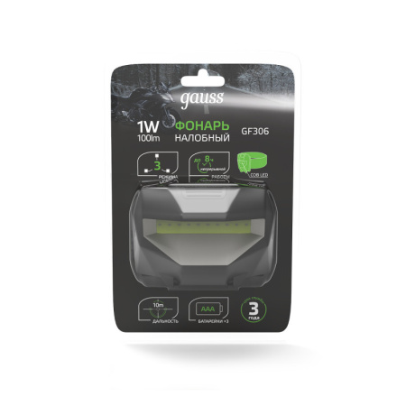 Фонари — Фонарь Gauss GF306 купить в 