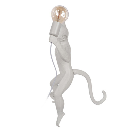 Настенные бра — Бра LOFT IT 10314W/B купить в 