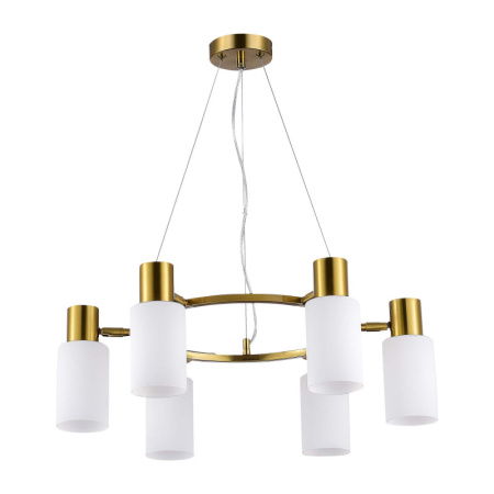 Люстры подвесные — Подвесная люстра Evoluce SLE1139-303-06 купить в 