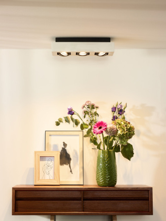 Накладные светильники — Накладной светильник LUCIDE 09119/16/31 купить в 