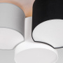 Накладные светильники — Накладной светильник TK Lighting 4185 купить в  Накладные светильники — Накладной светильник TK Lighting 4185 купить в