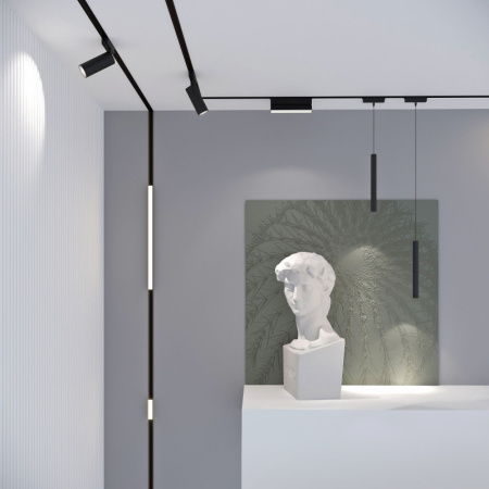 Трековые светильники — Светильник на шине Elektrostandard Трековый светильник (чёрный) 85089/01 купить в 