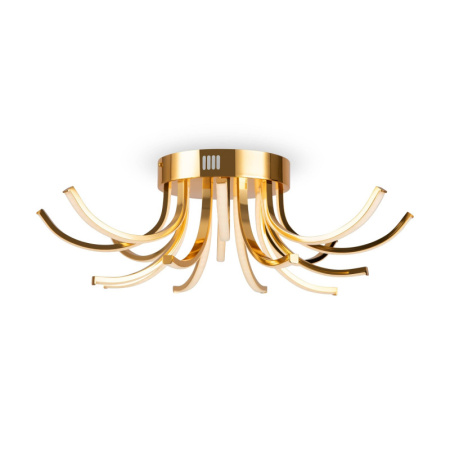 Люстры накладные — Накладная люстра Freya FR6046CL-L50G купить в  Люстры накладные — Накладная люстра Freya FR6046CL-L50G купить в