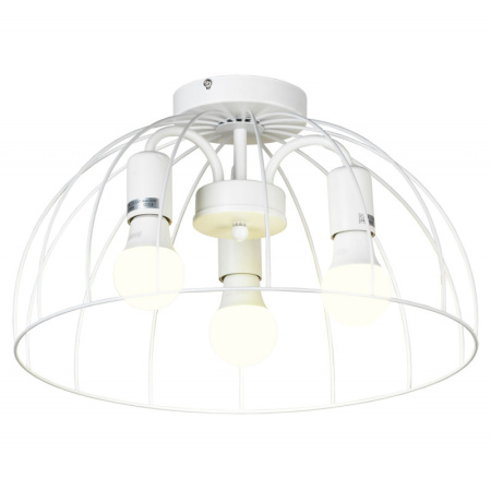 Накладные светильники — Накладной светильник Lussole LSP-8218 купить в 