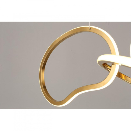 Люстры подвесные — Подвесная люстра APLOYT APL.046.03.80 купить в 