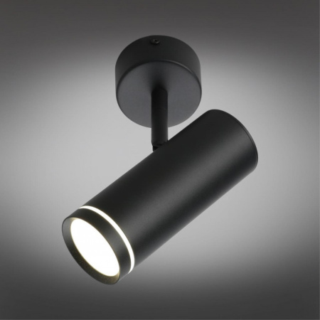 Споты — Спот Omnilux OML-102209-12 купить в  Споты — Спот Omnilux OML-102209-12 купить в