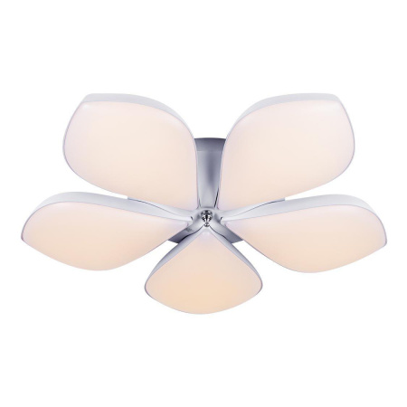 Потолочные люстры — Потолочная светодиодная люстра Escada 10235/5LED (85W) купить в 