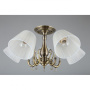 Люстры на штанге — Люстра на штанге Omnilux OML-29117-05 купить в 