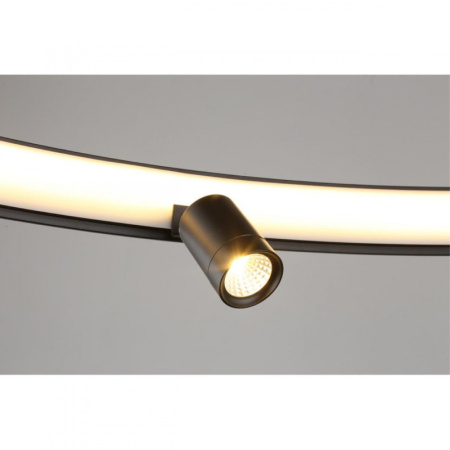 Люстры подвесные — Подвесная люстра APLOYT APL.041.13.75 купить в 