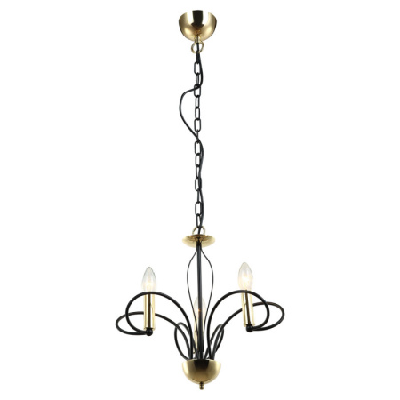 Люстры подвесные — Подвесная люстра Lussole LSP-8193 купить в 