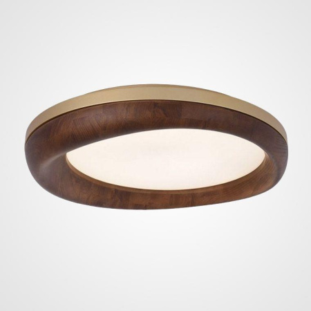 Потолочные светильники — Потолочный светодиодный светильник Imperium Loft Runis 219475-26 купить в 