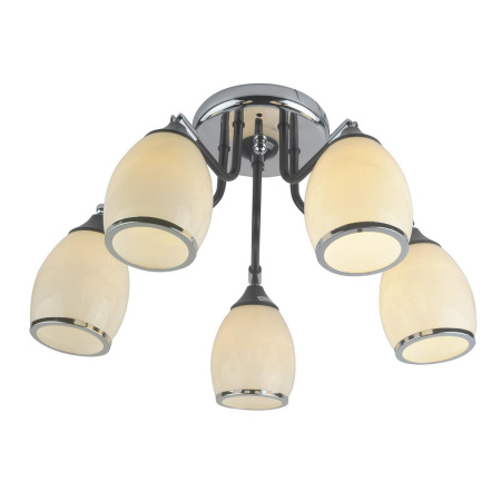 Потолочные люстры — Потолочная люстра Escada Wiki 1111/5P купить в 