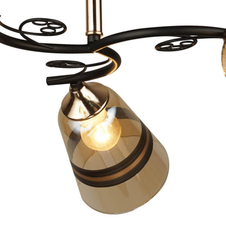 Потолочные люстры — Потолочная люстра Seven Fires Спинея 66372.01.69.03 купить в  Потолочные люстры — Потолочная люстра Seven Fires Спинея 66372.01.69.03 купить в