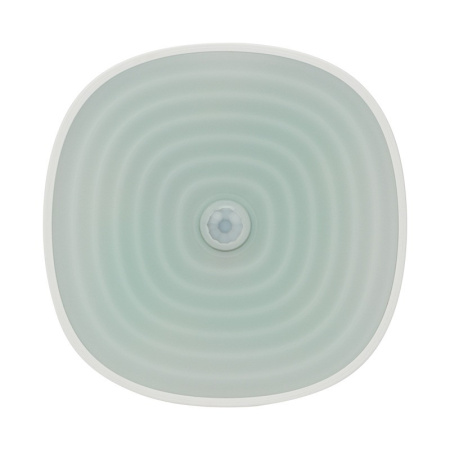 Детские ночники — Ночник детский Neon-Night 503-853 купить в 