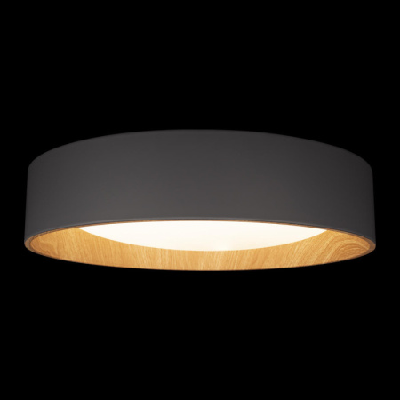 Накладные светильники — Накладной светильник LOFT IT 10202 Grey купить в 