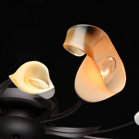 Люстры накладные — Накладная люстра MW-Light 242017006 купить в 